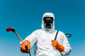 Best Lawn Pest Control  in Bellview, FL